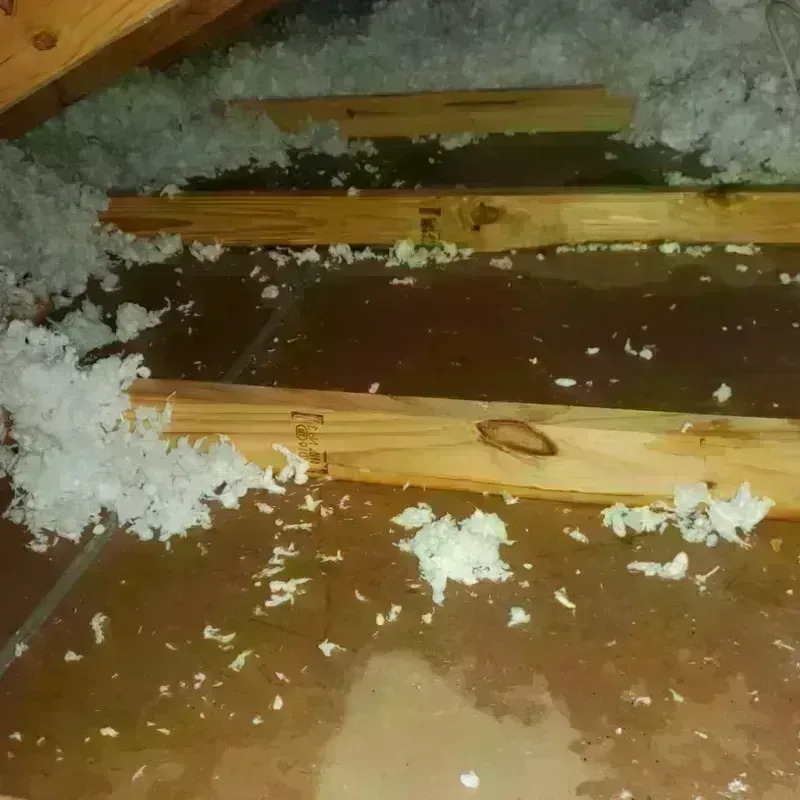 Attic Water Damage in Audubon, NJ